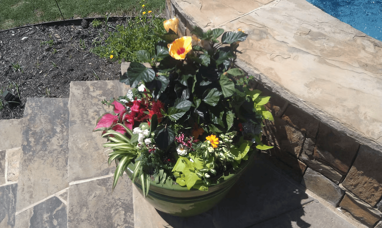 Conroy's decorative planter and pot arrangement in North Texas 6