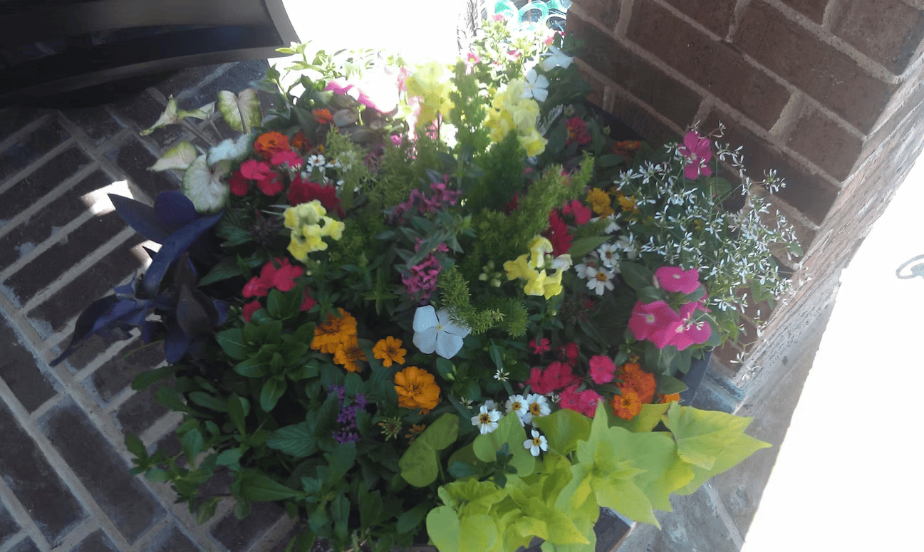 Conroy's decorative planter and pot arrangement in North Texas 7