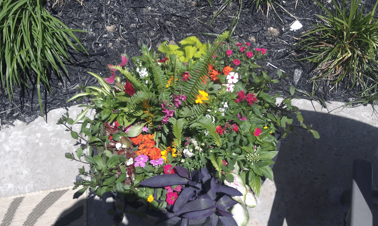 Conroy's decorative planter and pot arrangement in North Texas 8