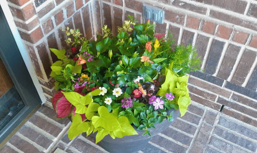 Conroy's decorative planter and pot arrangement in North Texas 9