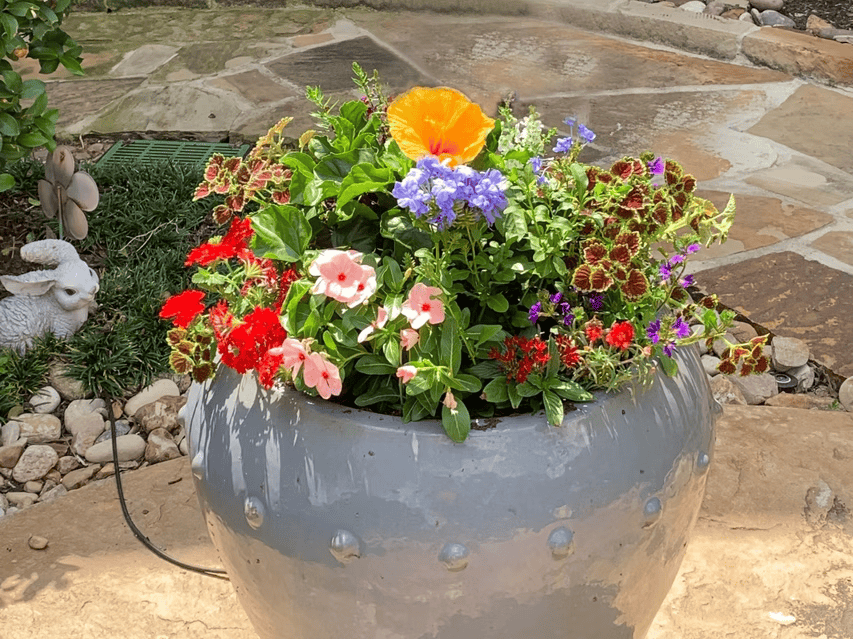 Conroy's decorative planter and pot arrangement in North Texas 10