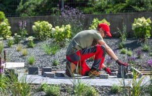 Drought-Proof Your Lawn This Summer: Smart Landscaping for Hot Weather