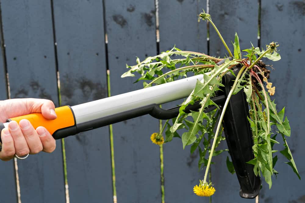 Weed control treatment