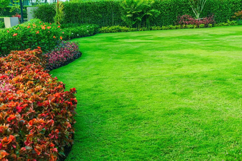 Fertilization and weed control in Keller TX