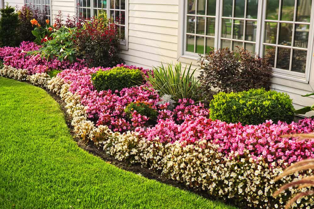 Colorful flower bed against a home in Keller TX