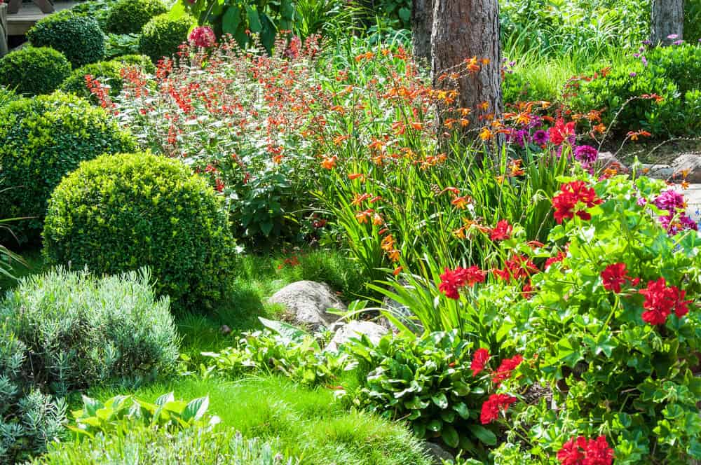 Beautiful seasonal flower garden