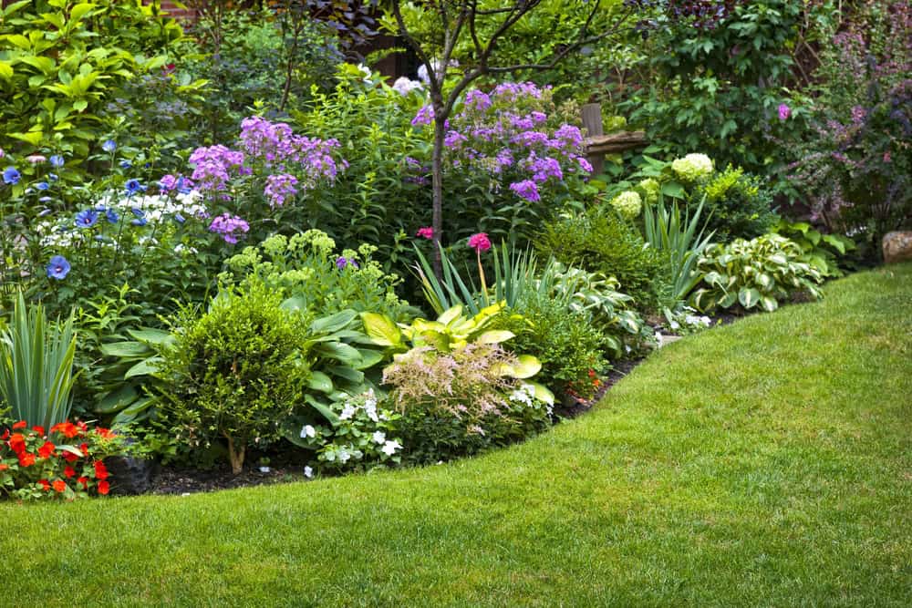 Maintained flower bed in Keller