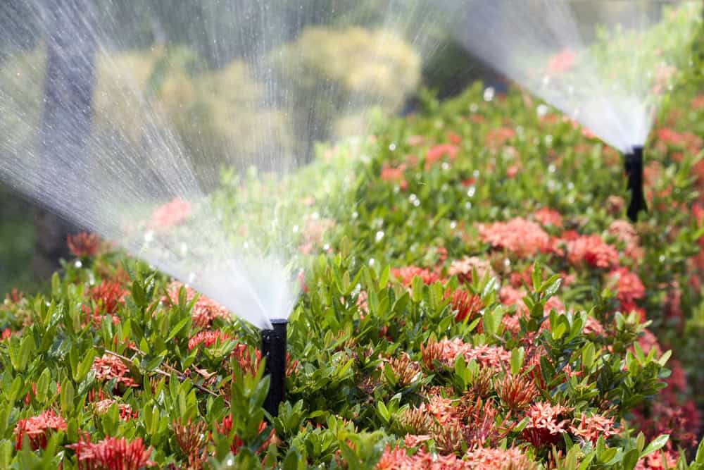 Sprinkler system installation