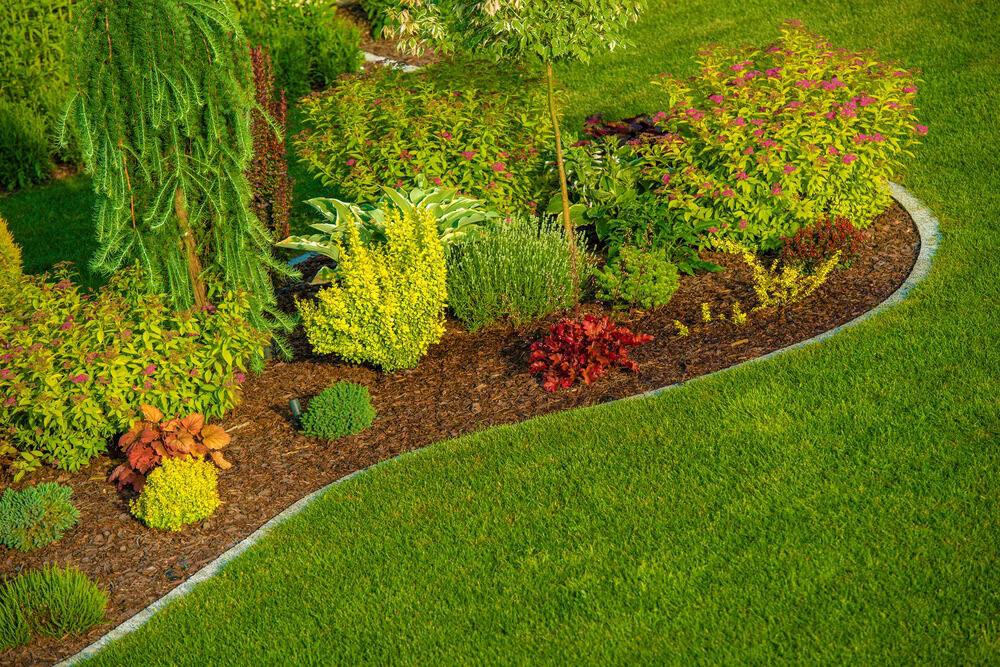 Newly designed backyard garden in Keller TX