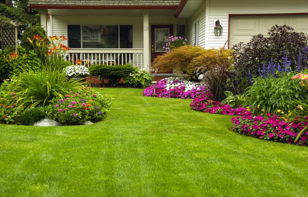 Landscape design and installation project