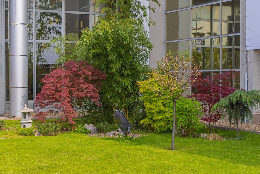 Commercial landscape installation in Keller