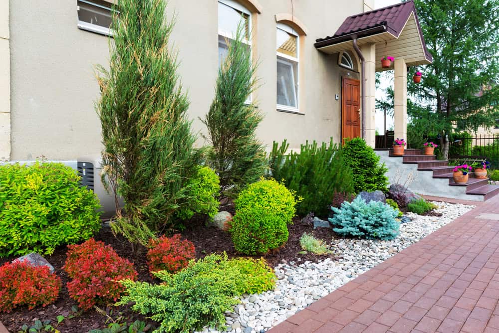 Natural flower landscaping in a home garden