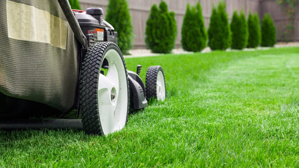 Landscape maintenance in Keller TX