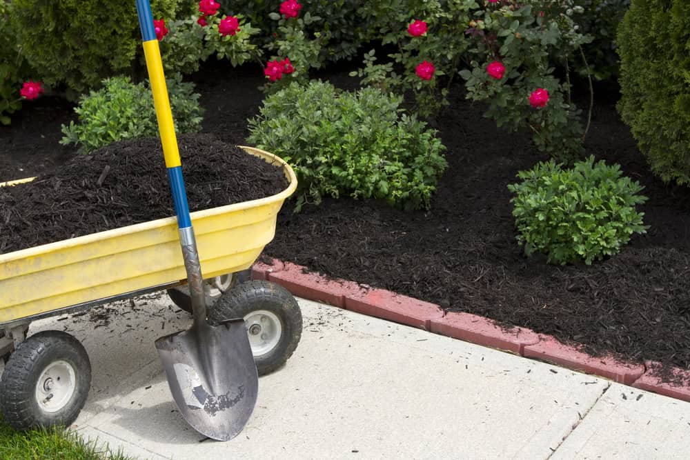 Residential landscape maintenance in Keller