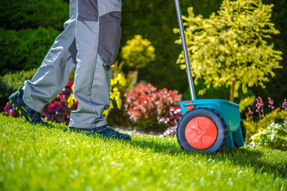 Commercial landscape maintenance in Keller