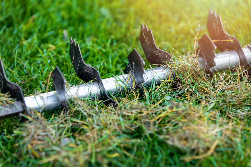 Seasonal landscape maintenance