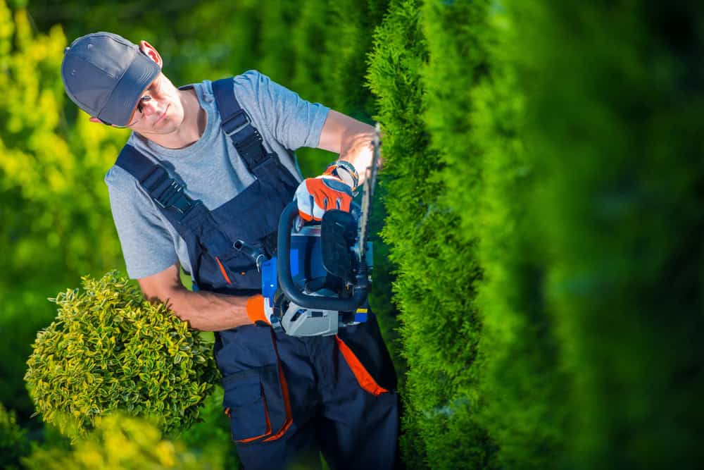 Conroy's landscape maintenance crew