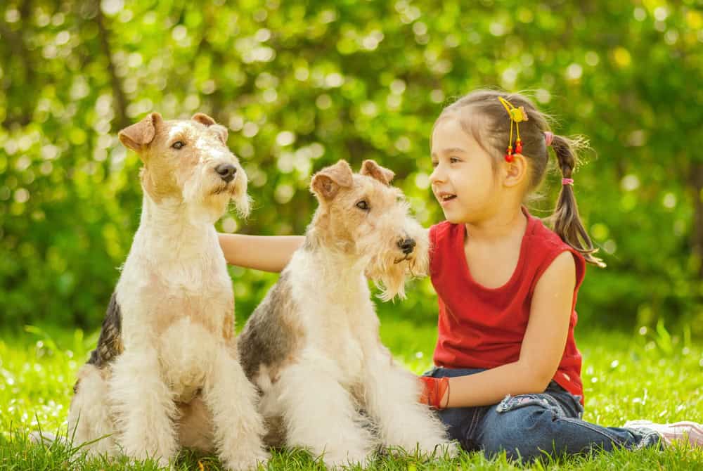 Conroy's crew delivering trusted pet waste removal across North Texas