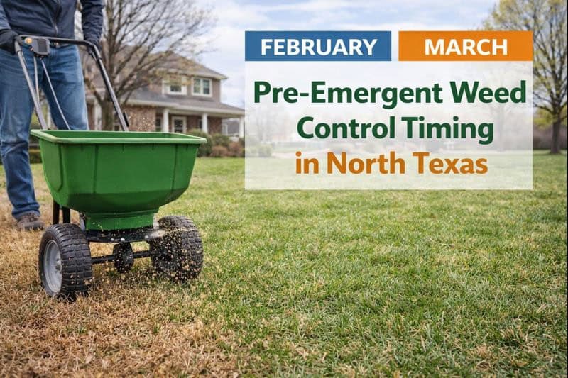 Pre-emergent weed control timing in North Texas