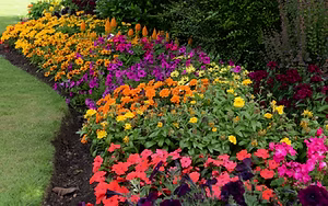 Flower bed maintenance service