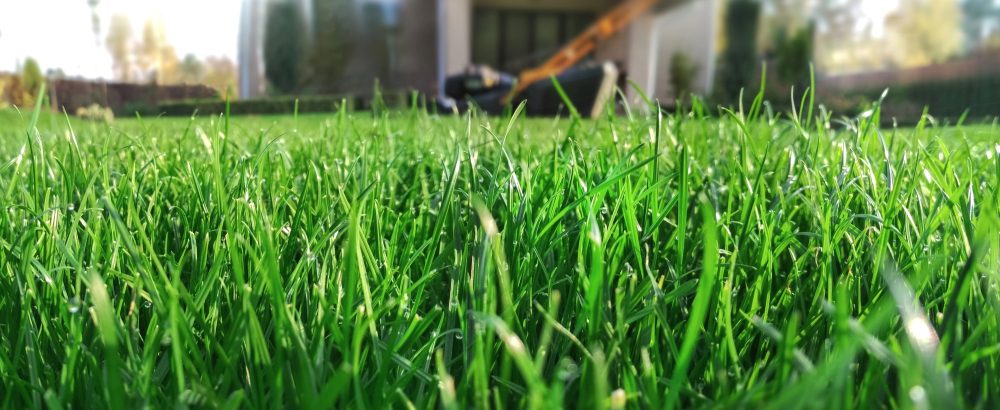 Professional lawn mowing in Keller, Southlake, and Colleyville TX