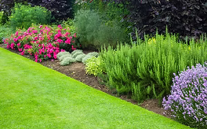 Lawn and landscape maintenance service