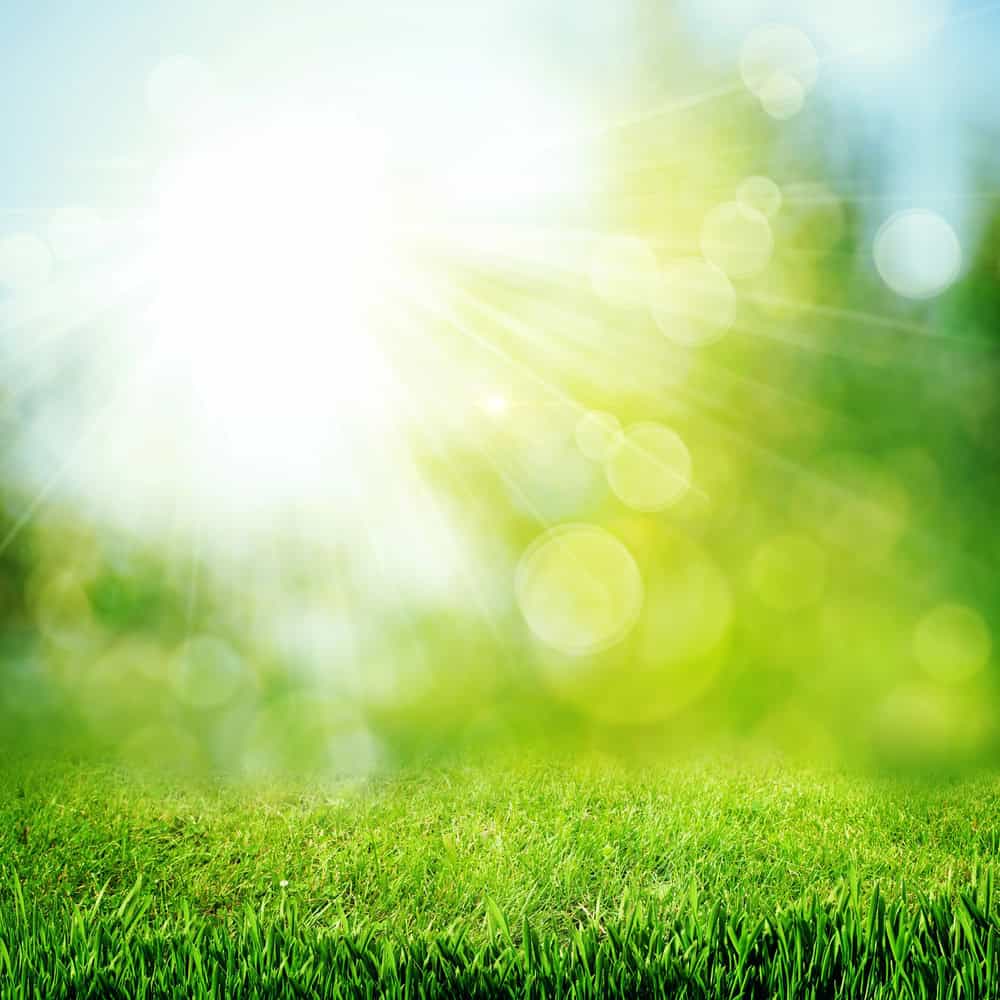 North Texas lawn prepared for summer heat