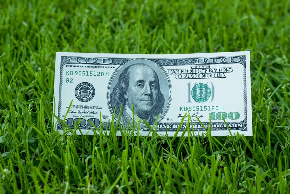 kiss-my-grass-demo-real-cost-diy-landscaping-blog kiss-my-grass-demo-real-cost-diy-landscaping-blog