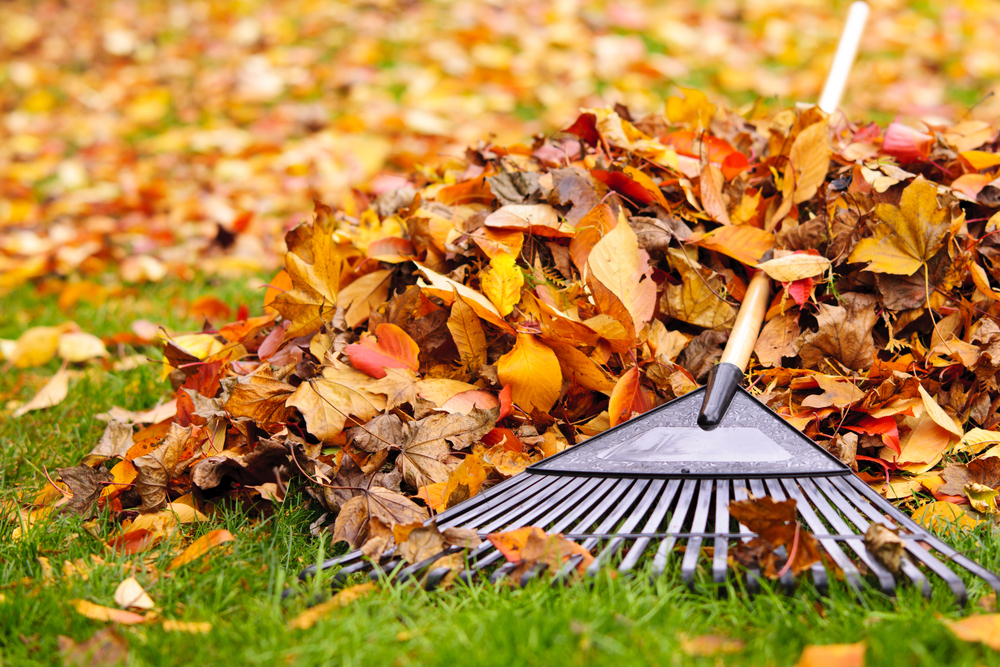 kiss-my-grass-demo-seasonal-lawn-care-2